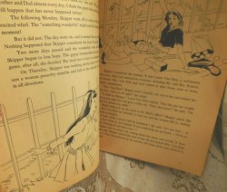 SKIPPER BOOK 65 A